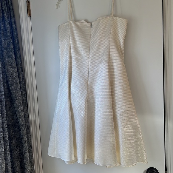 Vintage 1960s One of a Kind Dress - Picture 4 of 6